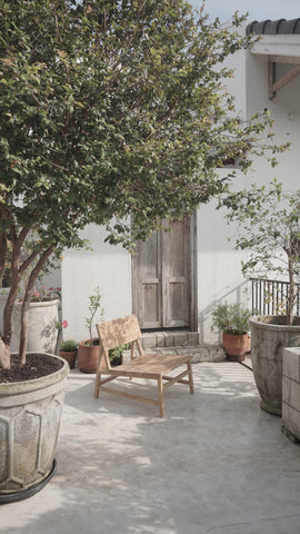 Citrus Chair